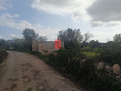 Chalet y finca rústica en venta en Campos