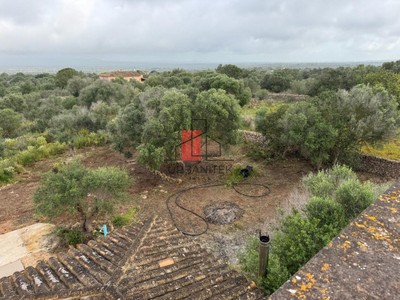 Chalet y finca rústica en venta en Campos, con 4 dormitorios y 3 baños