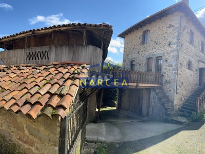 Casa en venta en Tineo, con 3 dormitorios, baño, trastero y terreno