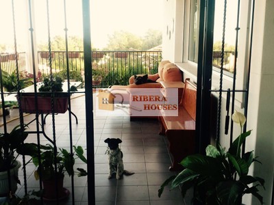 TERRAZA COCINA Y SALON COMEDOR