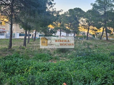 Terreno urbano en venta en Montroy
