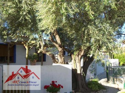 Planta baja en alquiler en Cartagena, Pozo Estrecho, con 1 dormitorio y baño