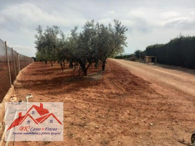 Terreno rural en venta en Cartagena, La Guia