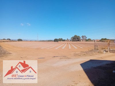 Terreno rural en venta en Cartagena, Miranda