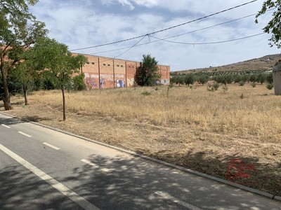 Terreno rural en venta en Herencia