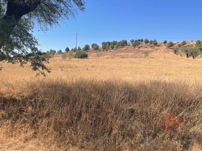 Terreno rural en venta en Herencia
