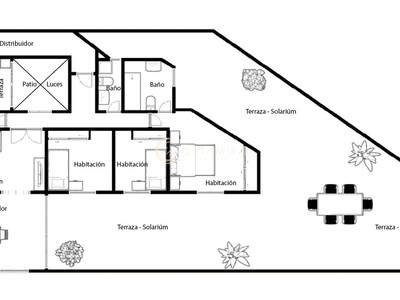 Plano TH64