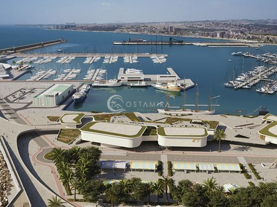 Nuevo paseo del Mar de Torrevieja