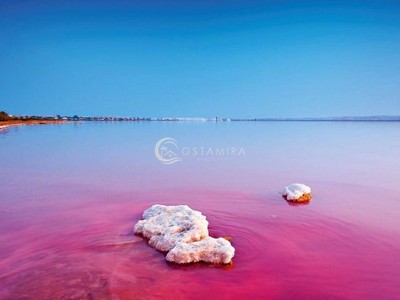 Hermosos Paisajes