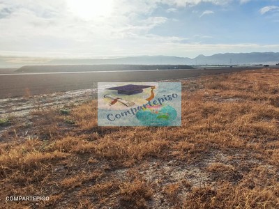 Terreno rural en venta en Sangonera La Seca, Base Aérea Alcantarilla