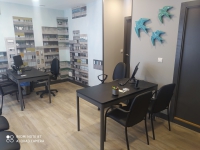 INMOBILIARIA CAMPO VOLANTIN