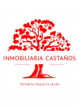 INMOBILIARIA CASTAÑOS